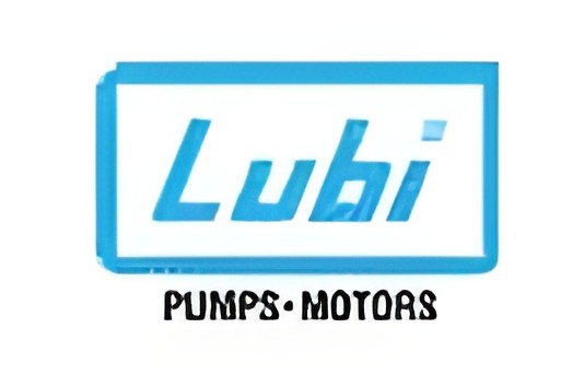 LUBI PUMPS